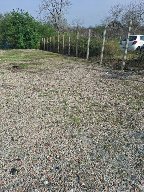 immagine annuncio 7 di 8