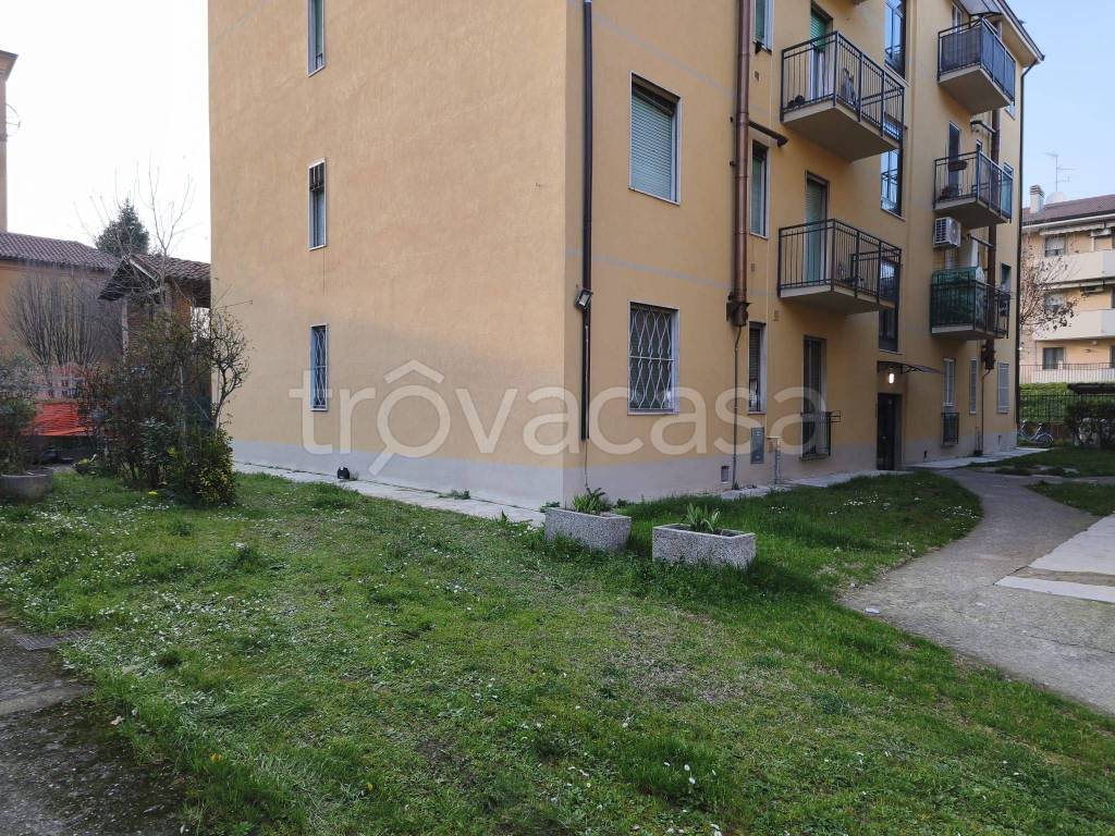 immagine annuncio 11 di 12