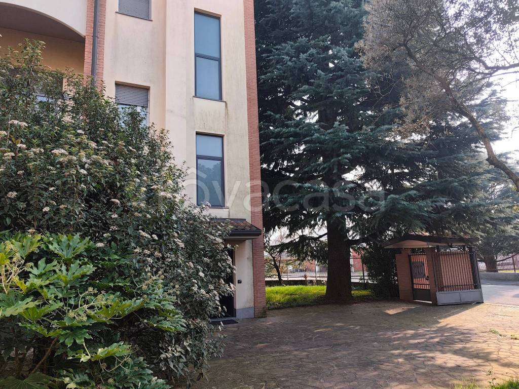 immagine annuncio 8 di 15