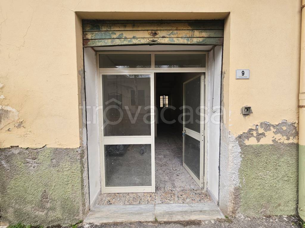 immagine annuncio 10 di 14