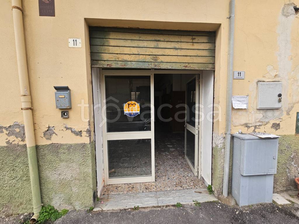 immagine annuncio 11 di 14