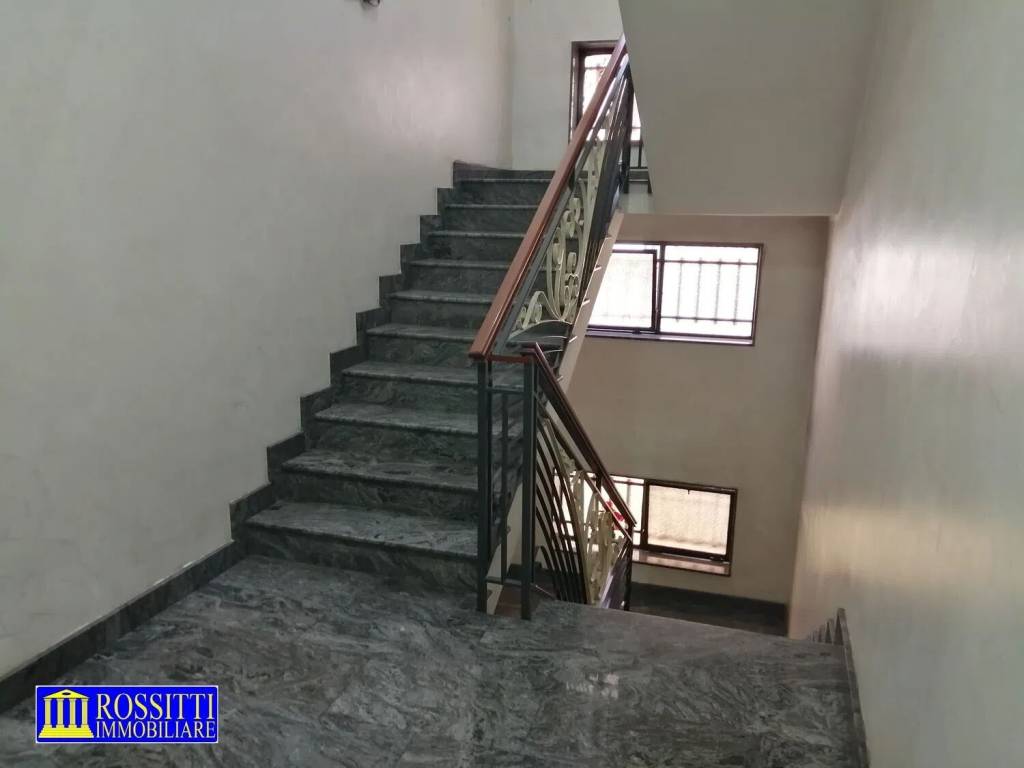 immagine annuncio 12 di 14