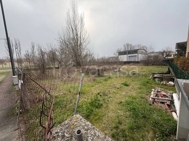 immagine annuncio 3 di 8