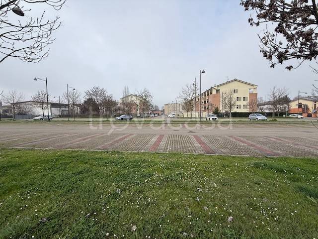 immagine annuncio 5 di 8