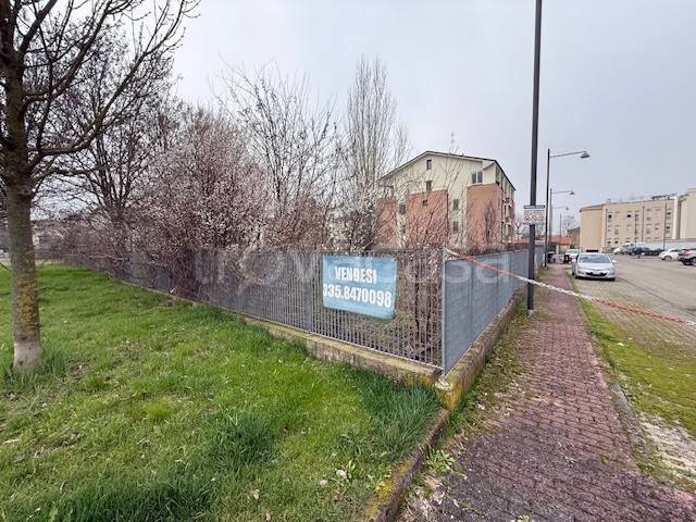 immagine annuncio 4 di 8