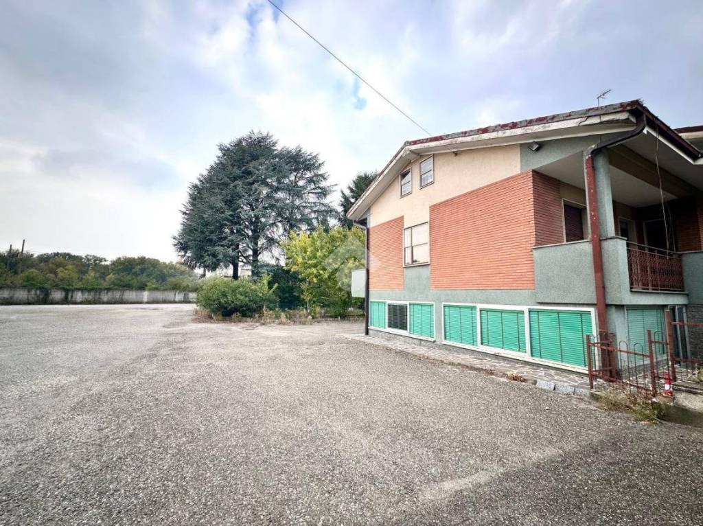 immagine annuncio 7 di 15