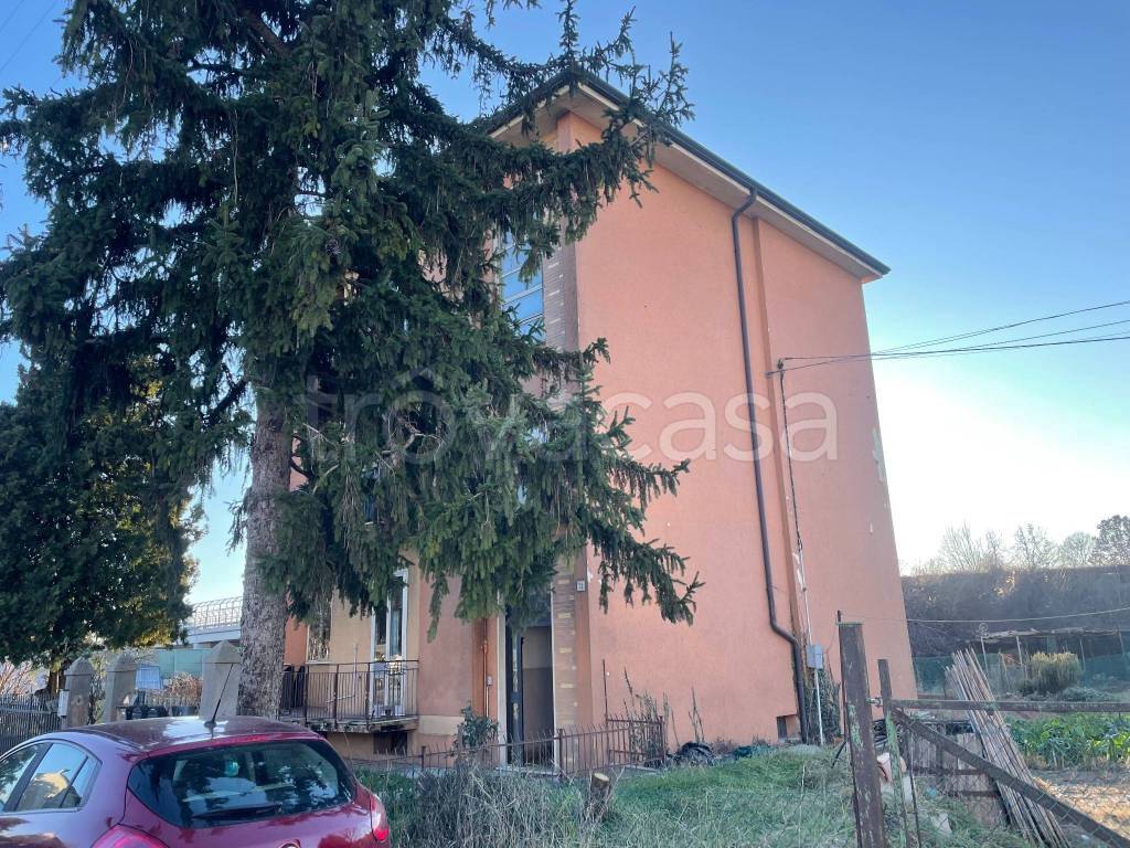 immagine annuncio 11 di 13