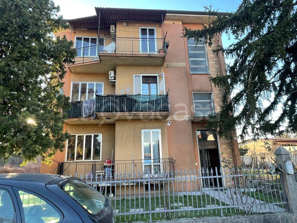 immagine annuncio 12 di 13