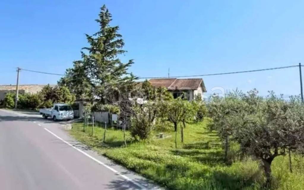 immagine annuncio 1 di 6