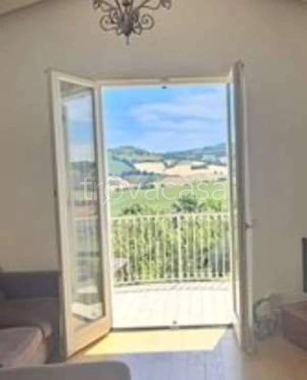 immagine annuncio 2 di 7