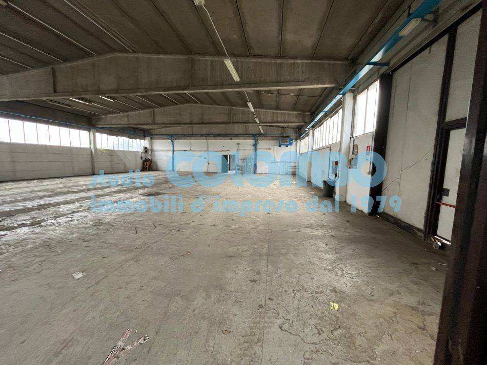 immagine annuncio 4 di 13