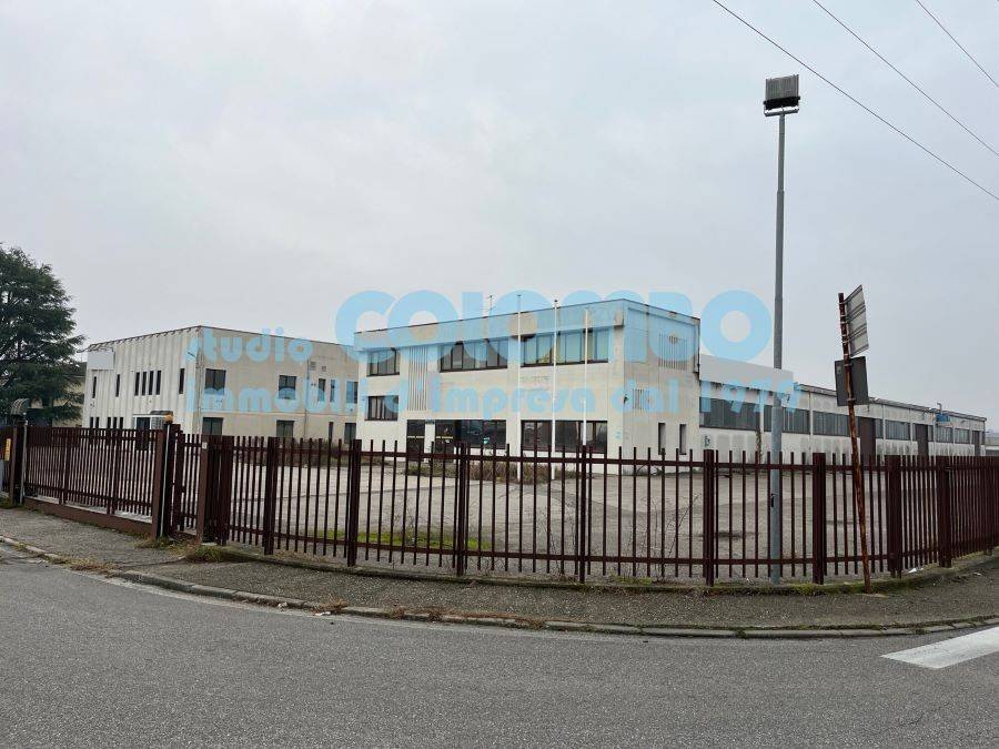 immagine annuncio 7 di 13