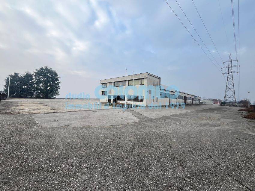 immagine annuncio 11 di 13