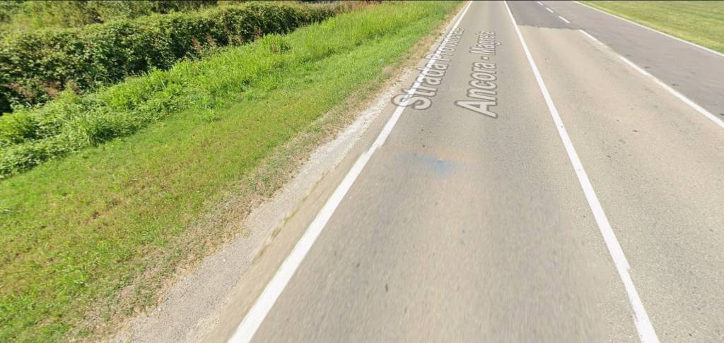 immagine annuncio 9 di 11