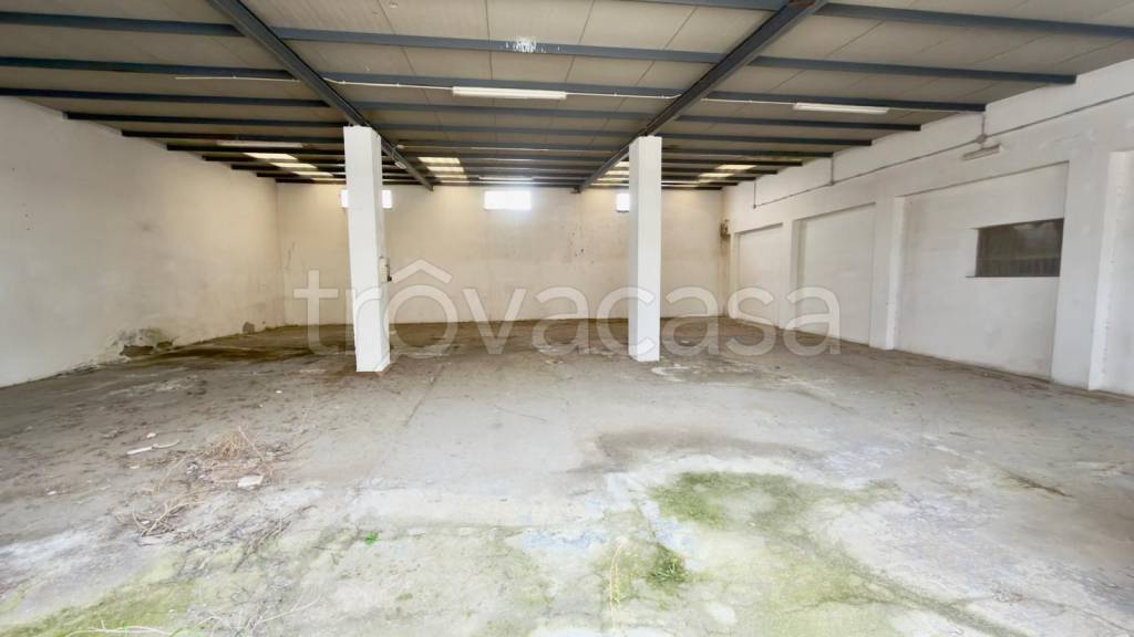 immagine annuncio 3 di 12