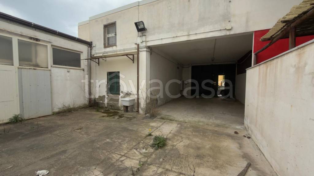 immagine annuncio 4 di 12