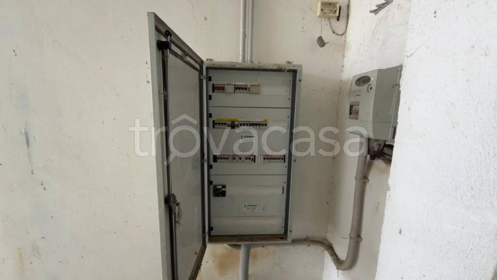 immagine annuncio 5 di 12