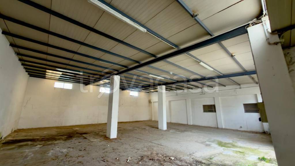 immagine annuncio 6 di 12