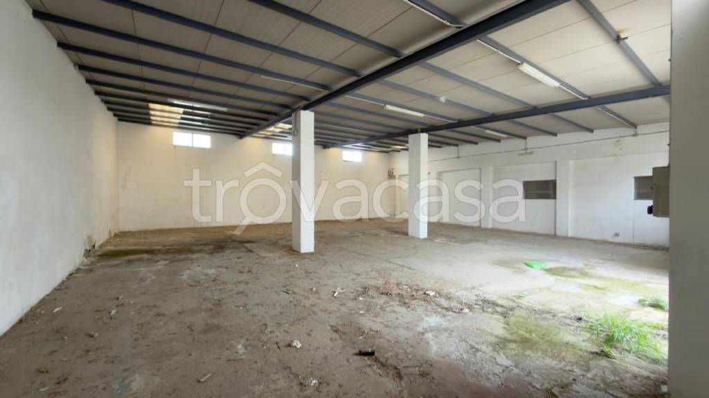 immagine annuncio 8 di 12