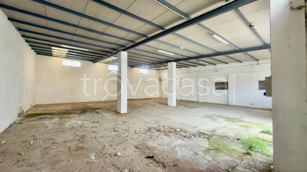 immagine annuncio 2 di 12