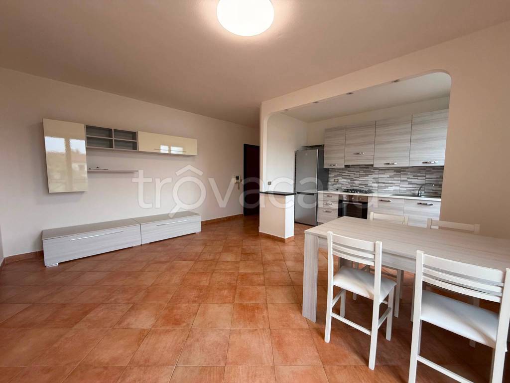 immagine annuncio 3 di 12