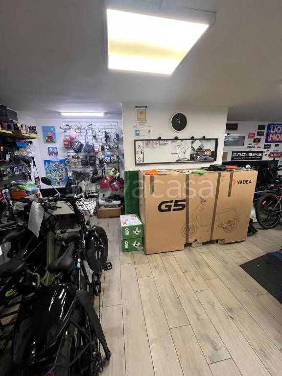 immagine annuncio 6 di 9