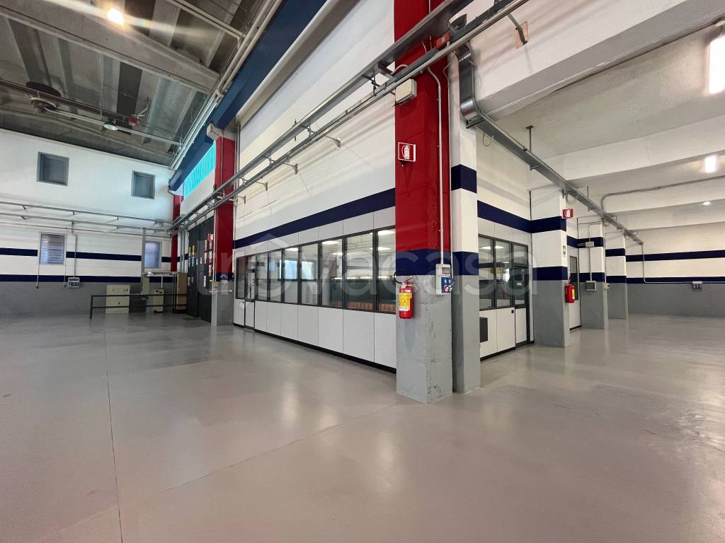 immagine annuncio 7 di 15