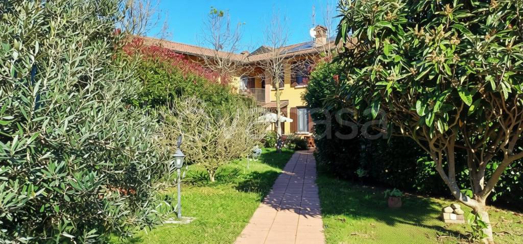 immagine annuncio 5 di 15