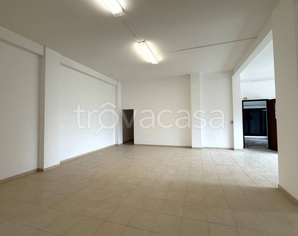 immagine annuncio 4 di 7