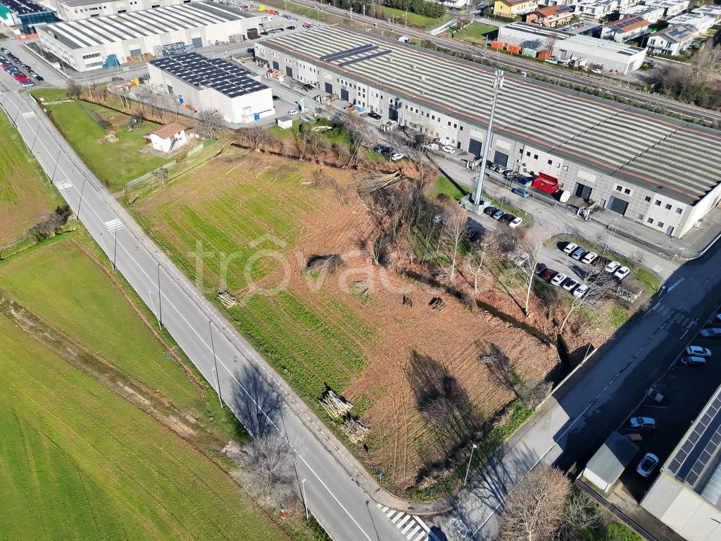 immagine annuncio 11 di 14