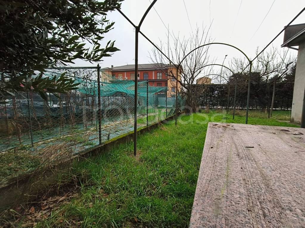 immagine annuncio 4 di 14