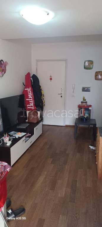 immagine annuncio 2 di 7