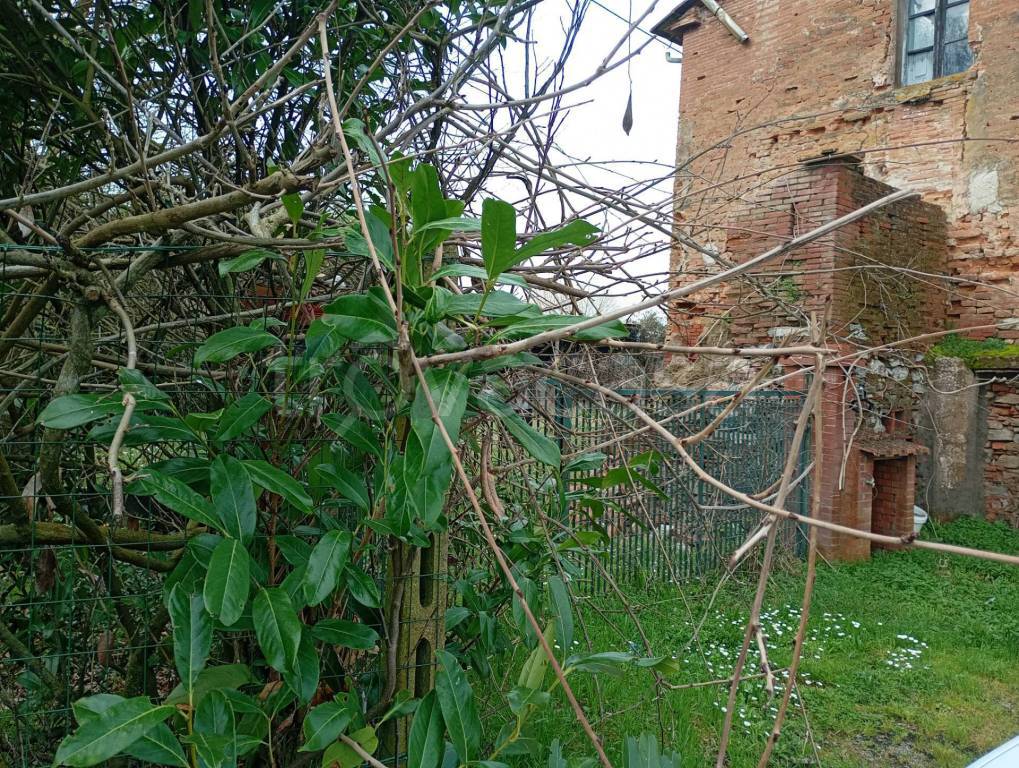 immagine annuncio 6 di 8