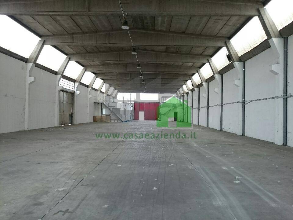 immagine annuncio 9 di 10