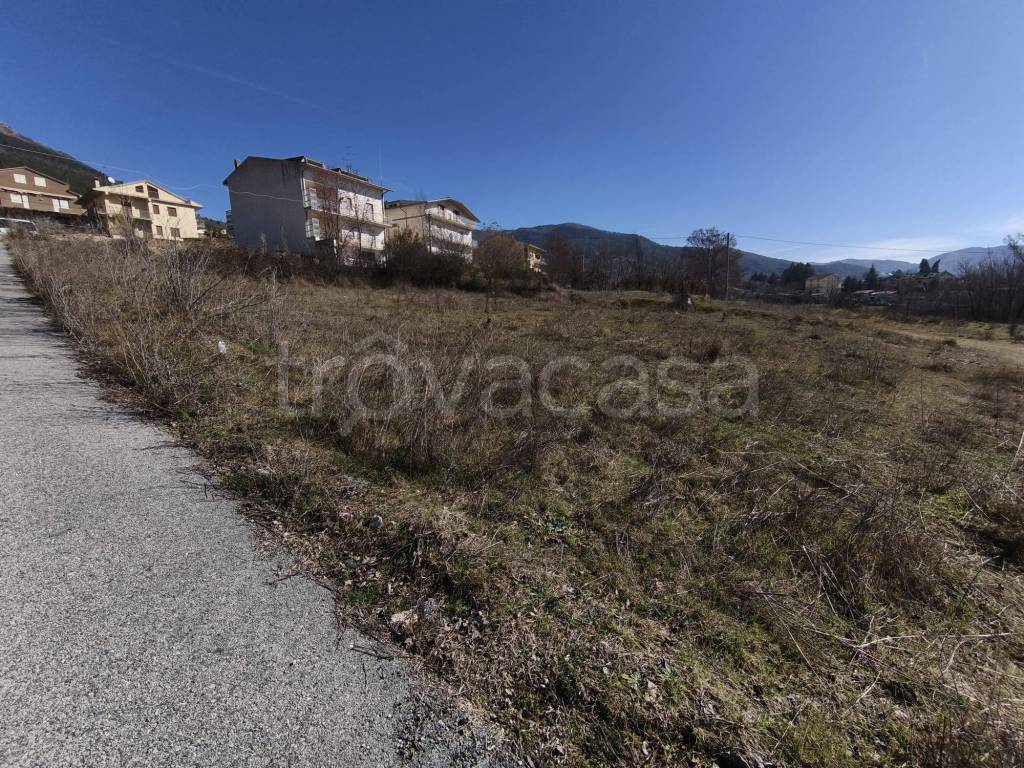 immagine annuncio 2 di 6