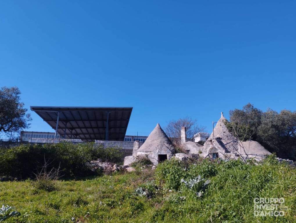 immagine annuncio 1 di 7