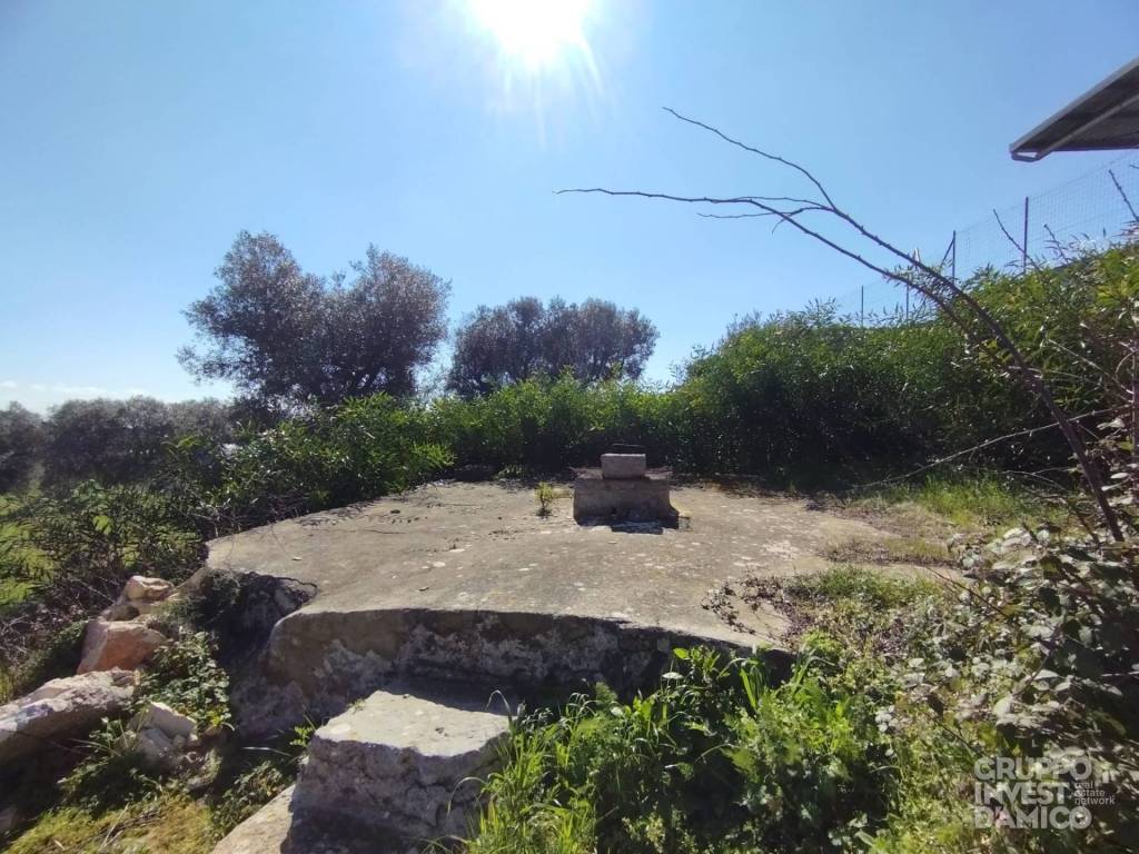 immagine annuncio 4 di 7