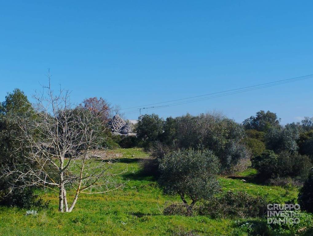 immagine annuncio 5 di 7