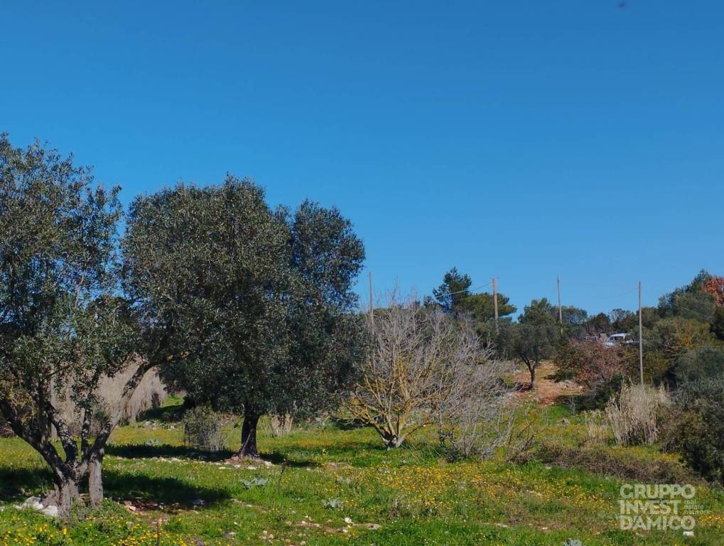 immagine annuncio 6 di 7