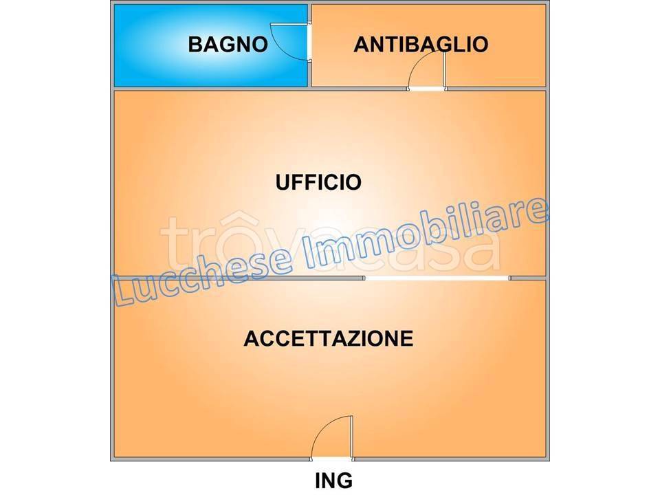 immagine annuncio 12 di 13