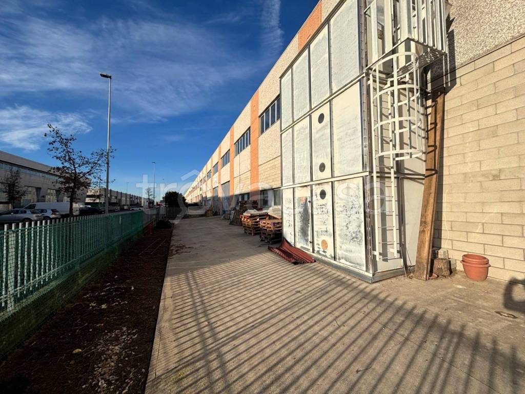 immagine annuncio 4 di 6