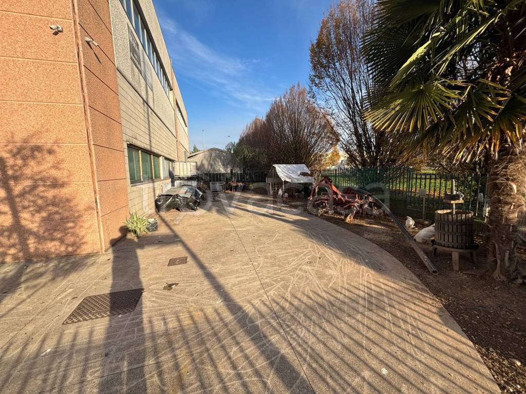 immagine annuncio 5 di 6