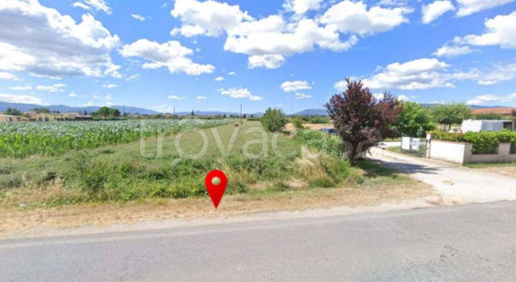 immagine annuncio 8 di 11