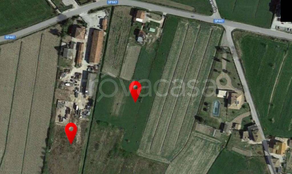 immagine annuncio 3 di 11