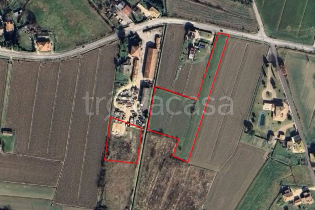 immagine annuncio 10 di 11