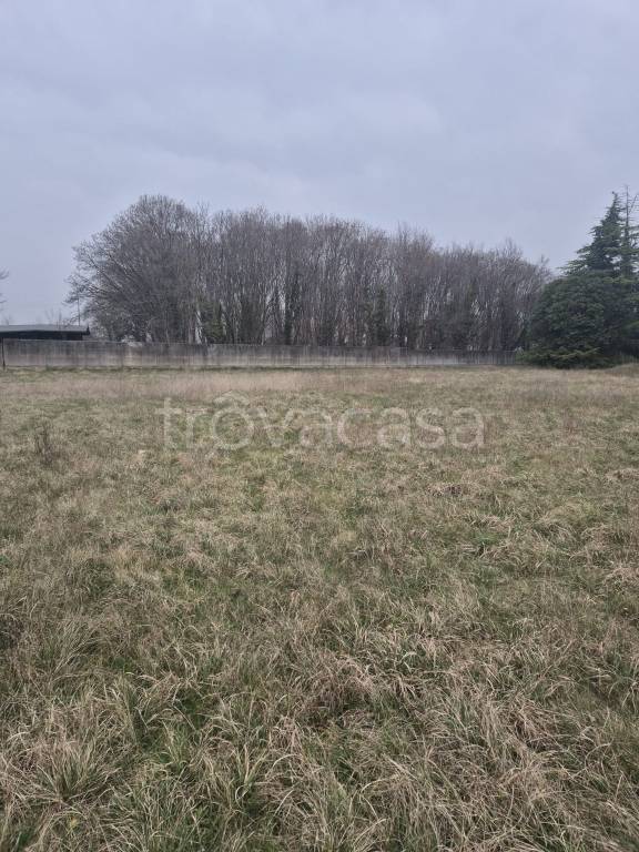 immagine annuncio 2 di 6