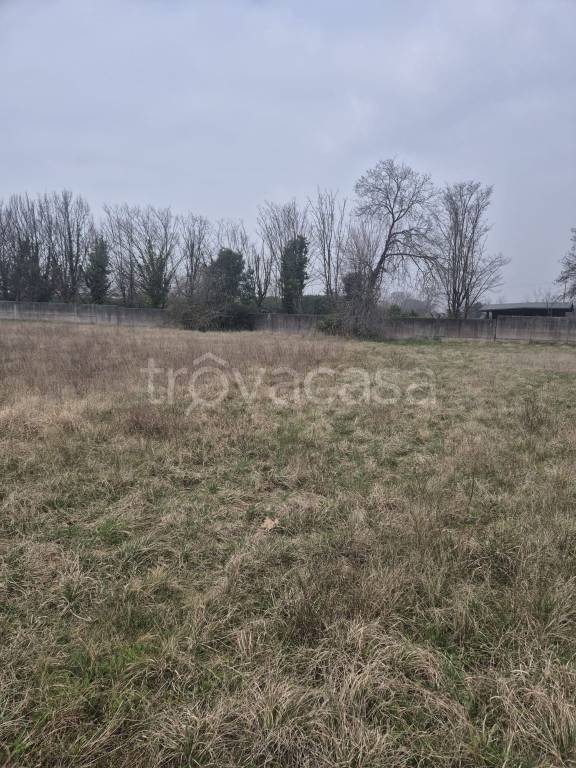 immagine annuncio 3 di 6