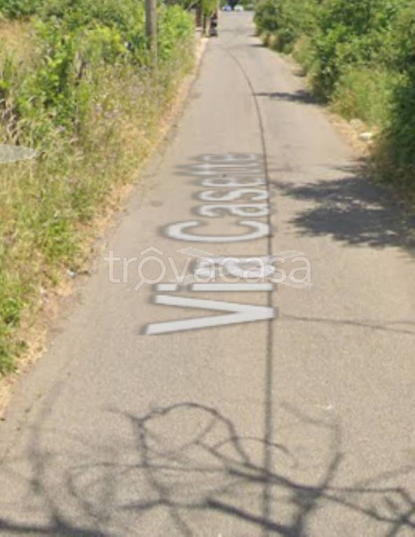 immagine annuncio 9 di 11