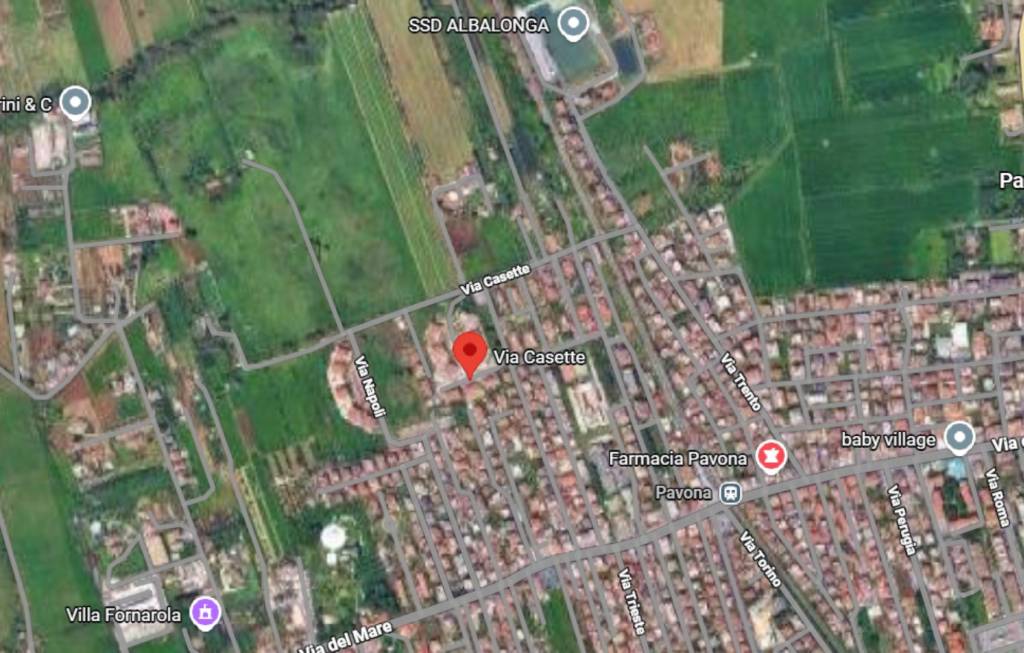 immagine annuncio 3 di 11