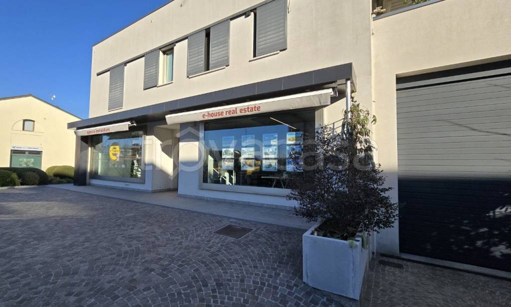 immagine annuncio 8 di 14